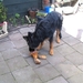 jethro 9-04-2008