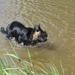 jethro 9-04-2008