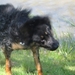 jethro 9-04-2008