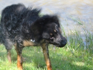 jethro 9-04-2008