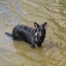 jethro 9-04-2008