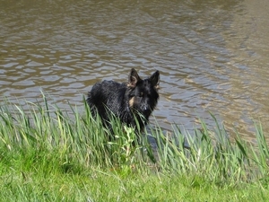 jethro 9-04-2008