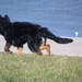 jethro 9-04-2008 (150) [640x480]