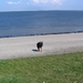 jethro 9-04-2008