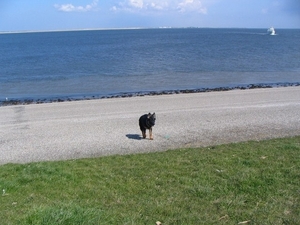 jethro 9-04-2008