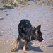 jethro 9-04-2008