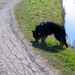 jethro 9-04-2008 (163) [640x480]