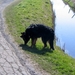 jethro 9-04-2008