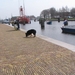 jethro 9-04-2008