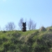 jethro 9-04-2008