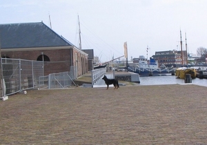 jethro 9-04-2008