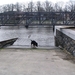 jethro 9-04-2008