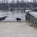 jethro 9-04-2008