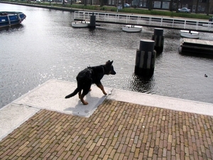 jethro 9-04-2008