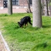 jethro 9-04-2008