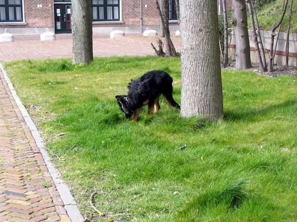 jethro 9-04-2008