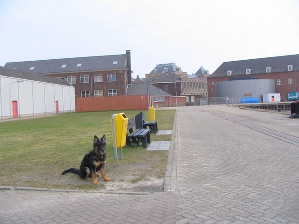 jethro 9-04-2008