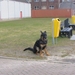 jethro 9-04-2008