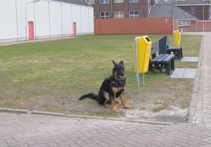 jethro 9-04-2008