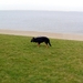jethro 9-04-2008