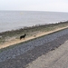 jethro 9-04-2008