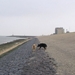 jethro 9-04-2008