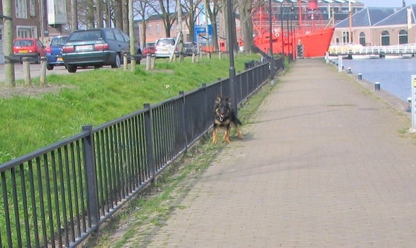 jethro 9-04-2008