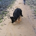 jethro 9-04-2008