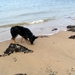 jethro 9-04-2008