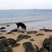 jethro 9-04-2008