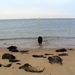 jethro 9-04-2008