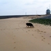 jethro 9-04-2008