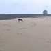 jethro 9-04-2008