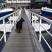 jethro 9-04-2008