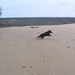 jethro 9-04-2008