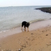 jethro 9-04-2008
