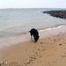 jethro 9-04-2008