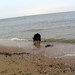 jethro 9-04-2008
