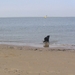 jethro 9-04-2008