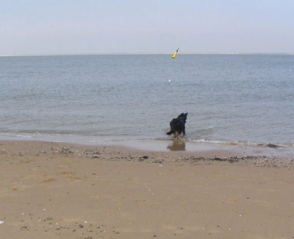 jethro 9-04-2008