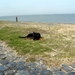 jethro 9-04-2008