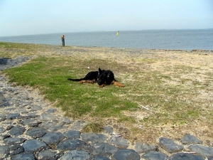 jethro 9-04-2008