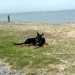 jethro 9-04-2008