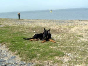 jethro 9-04-2008