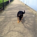 jethro 9-04-2008