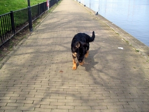 jethro 9-04-2008