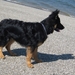 jethro 9-05-2008
