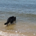 jethro 9-05-2008