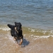 jethro 9-05-2008