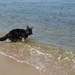 jethro 9-05-2008